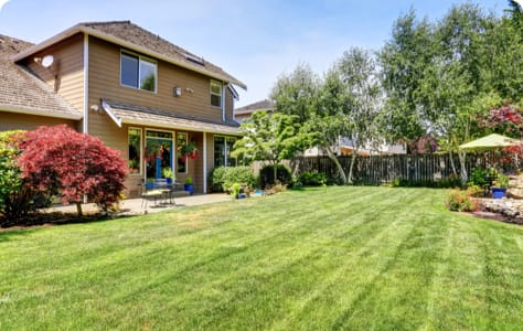 yard