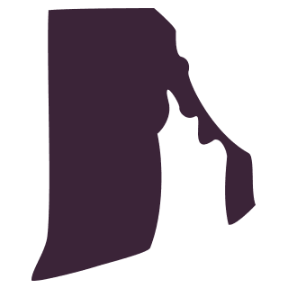 Dish Rhode Island