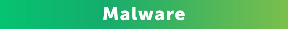 Malware ivider image