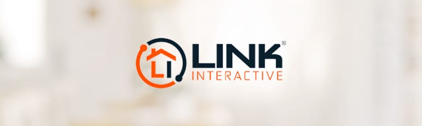 About Link Interactive