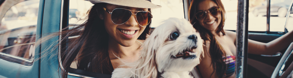women in a car with a dog