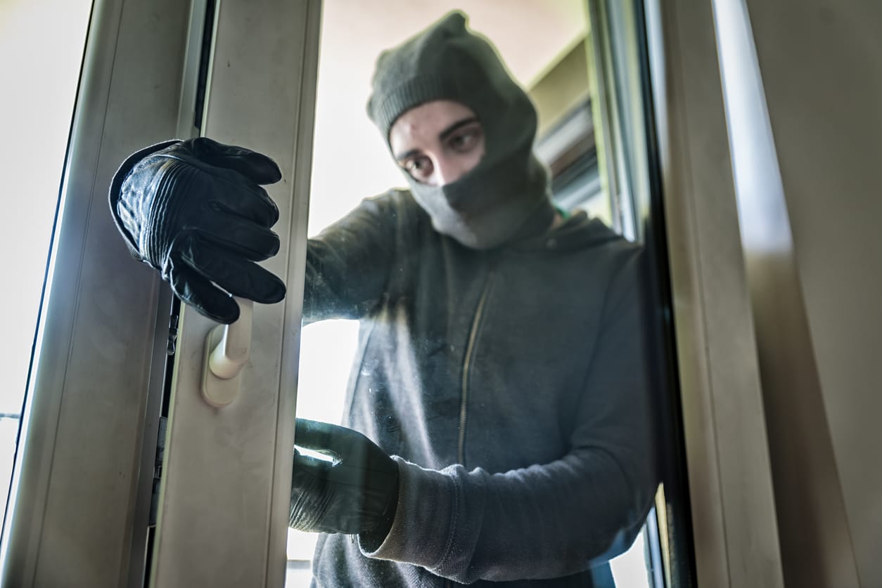 Crime and Security Systems