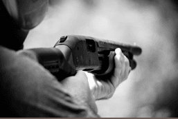 Pros and Cons of Gun Ownership for Home…