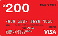 Visa 300