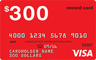 Visa 300