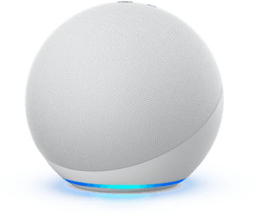 Does google home work best sale with vivint