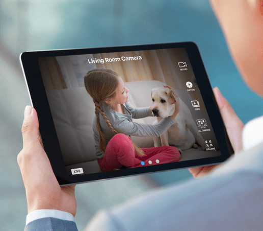 Parent using tablet to watch child and dog