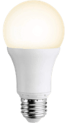 750 lumens Light Bulb
